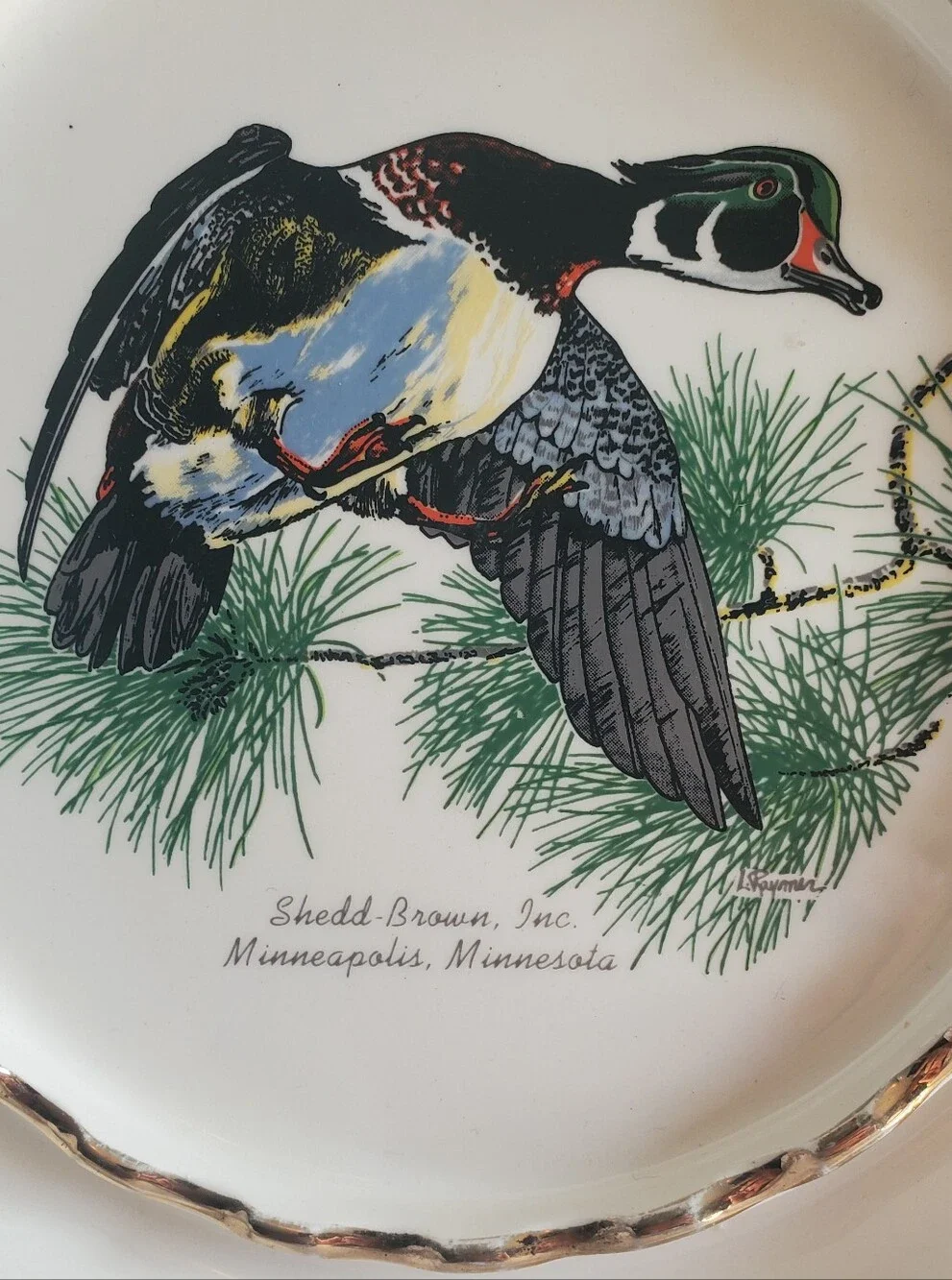 Louis Raymer shedd brown